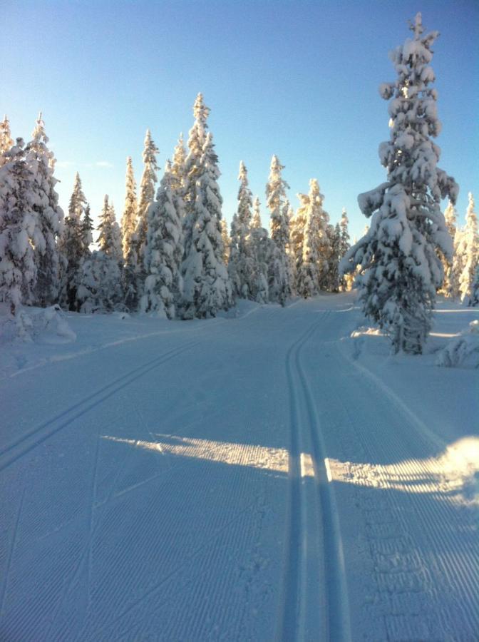 Koselig Hytte - Trysilfjellet Naert Til Sykkel- Og Turstier - 4 Soverom, 2 Bad, Badstue, Fiber Bredband Og Elbillader Exterior foto
