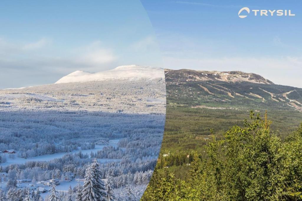 Koselig Hytte - Trysilfjellet Naert Til Sykkel- Og Turstier - 4 Soverom, 2 Bad, Badstue, Fiber Bredband Og Elbillader Exterior foto