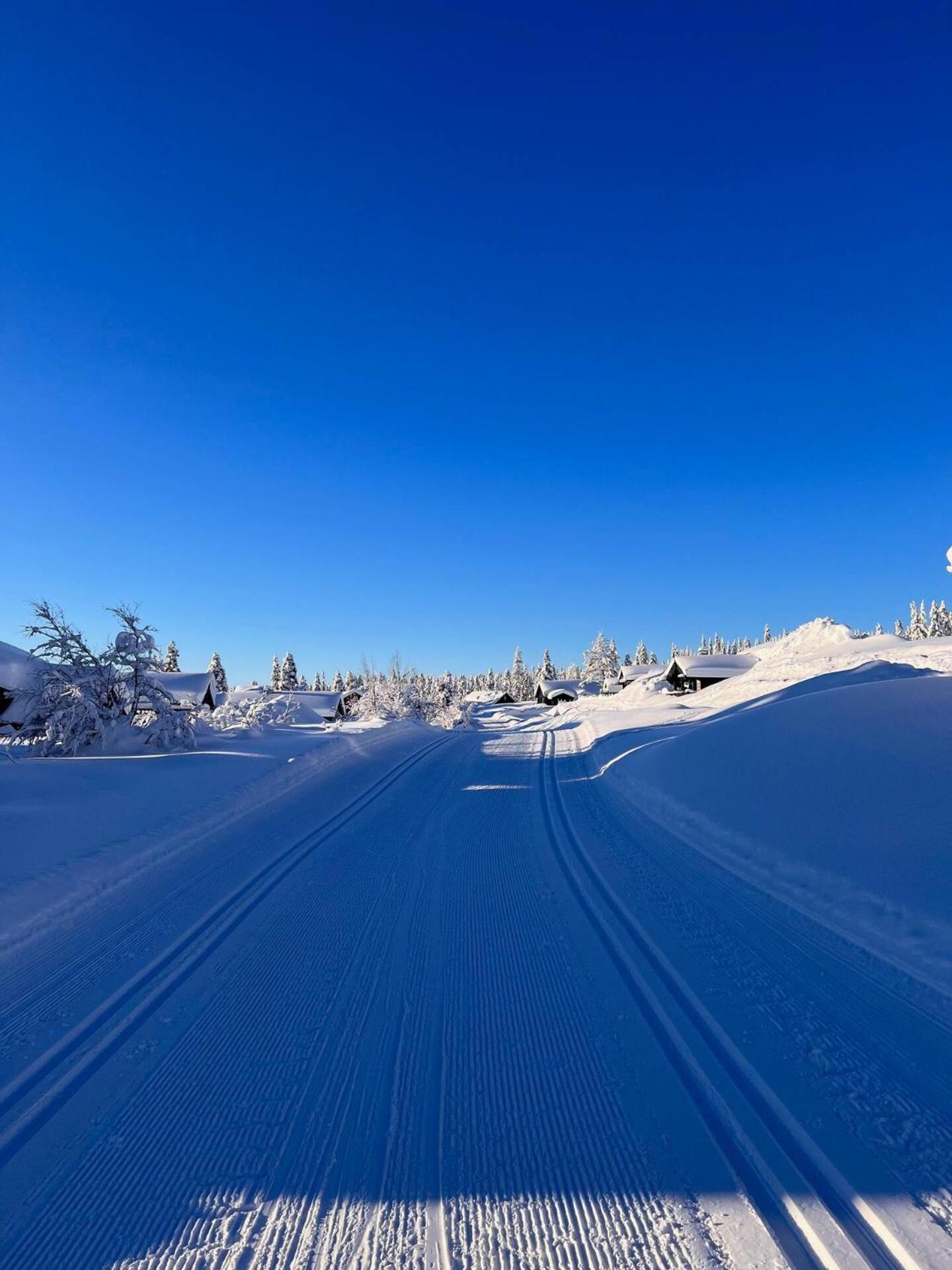 Koselig Hytte - Trysilfjellet Naert Til Sykkel- Og Turstier - 4 Soverom, 2 Bad, Badstue, Fiber Bredband Og Elbillader Exterior foto