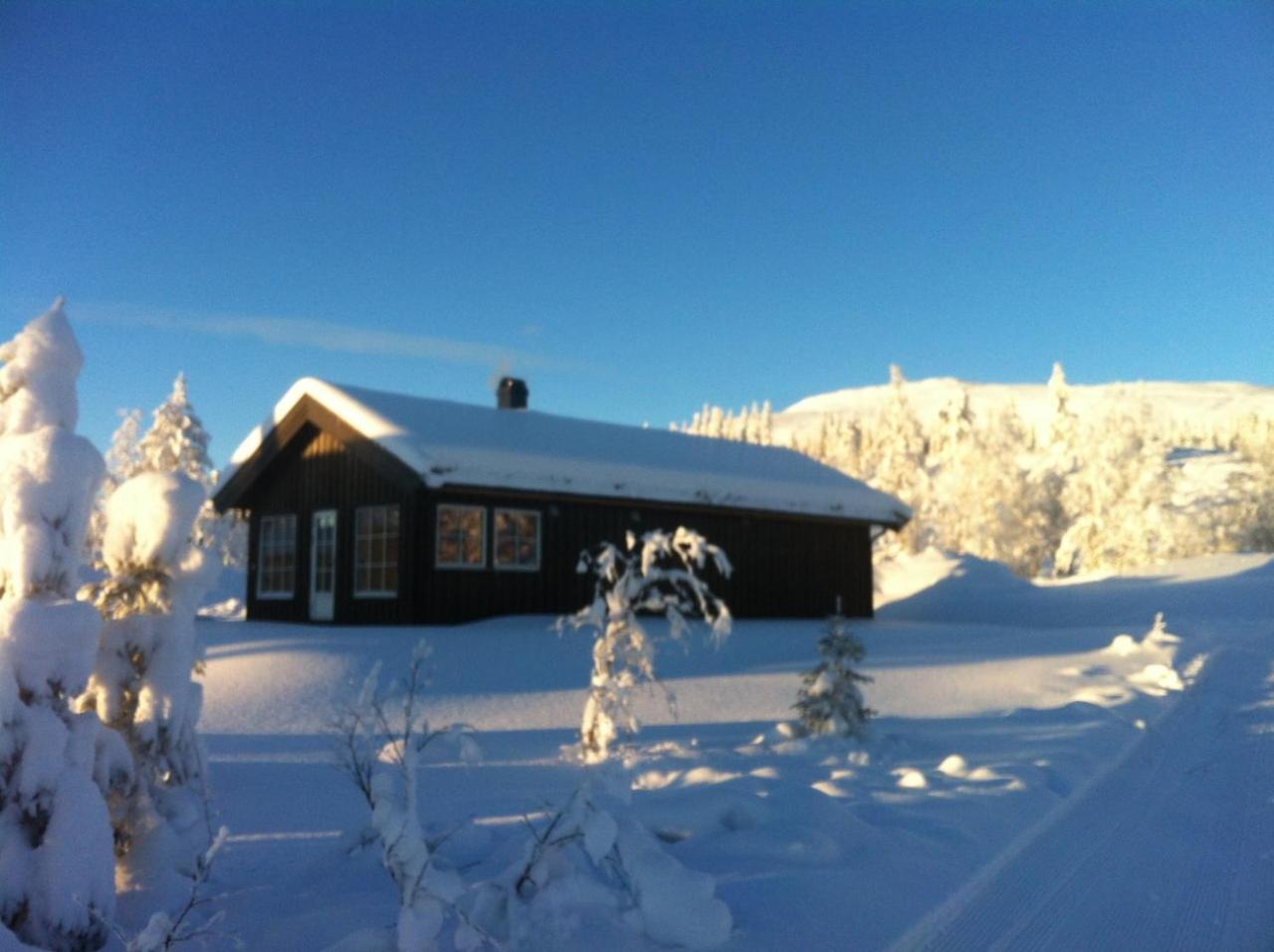 Koselig Hytte - Trysilfjellet Naert Til Sykkel- Og Turstier - 4 Soverom, 2 Bad, Badstue, Fiber Bredband Og Elbillader Exterior foto