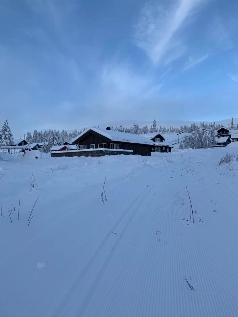 Koselig Hytte - Trysilfjellet Naert Til Sykkel- Og Turstier - 4 Soverom, 2 Bad, Badstue, Fiber Bredband Og Elbillader Exterior foto