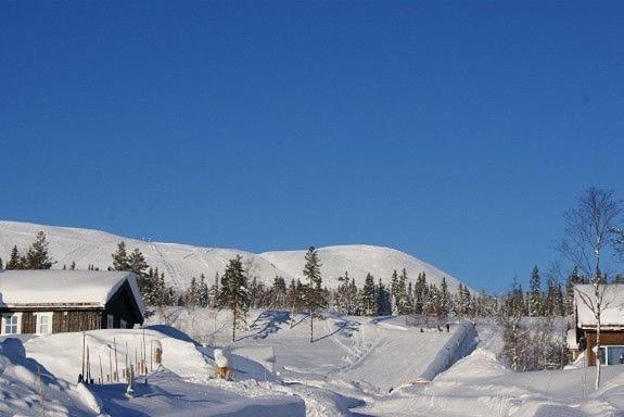 Koselig Hytte - Trysilfjellet Naert Til Sykkel- Og Turstier - 4 Soverom, 2 Bad, Badstue, Fiber Bredband Og Elbillader Exterior foto
