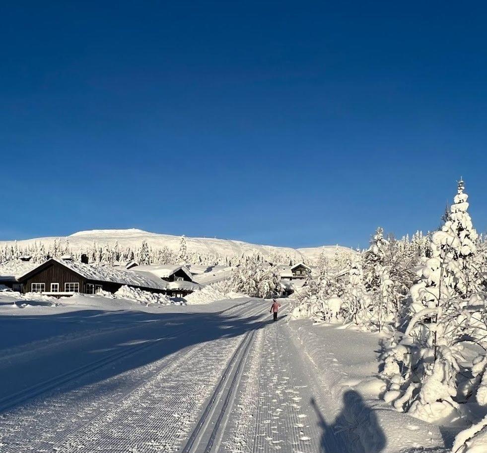 Koselig Hytte - Trysilfjellet Naert Til Sykkel- Og Turstier - 4 Soverom, 2 Bad, Badstue, Fiber Bredband Og Elbillader Exterior foto