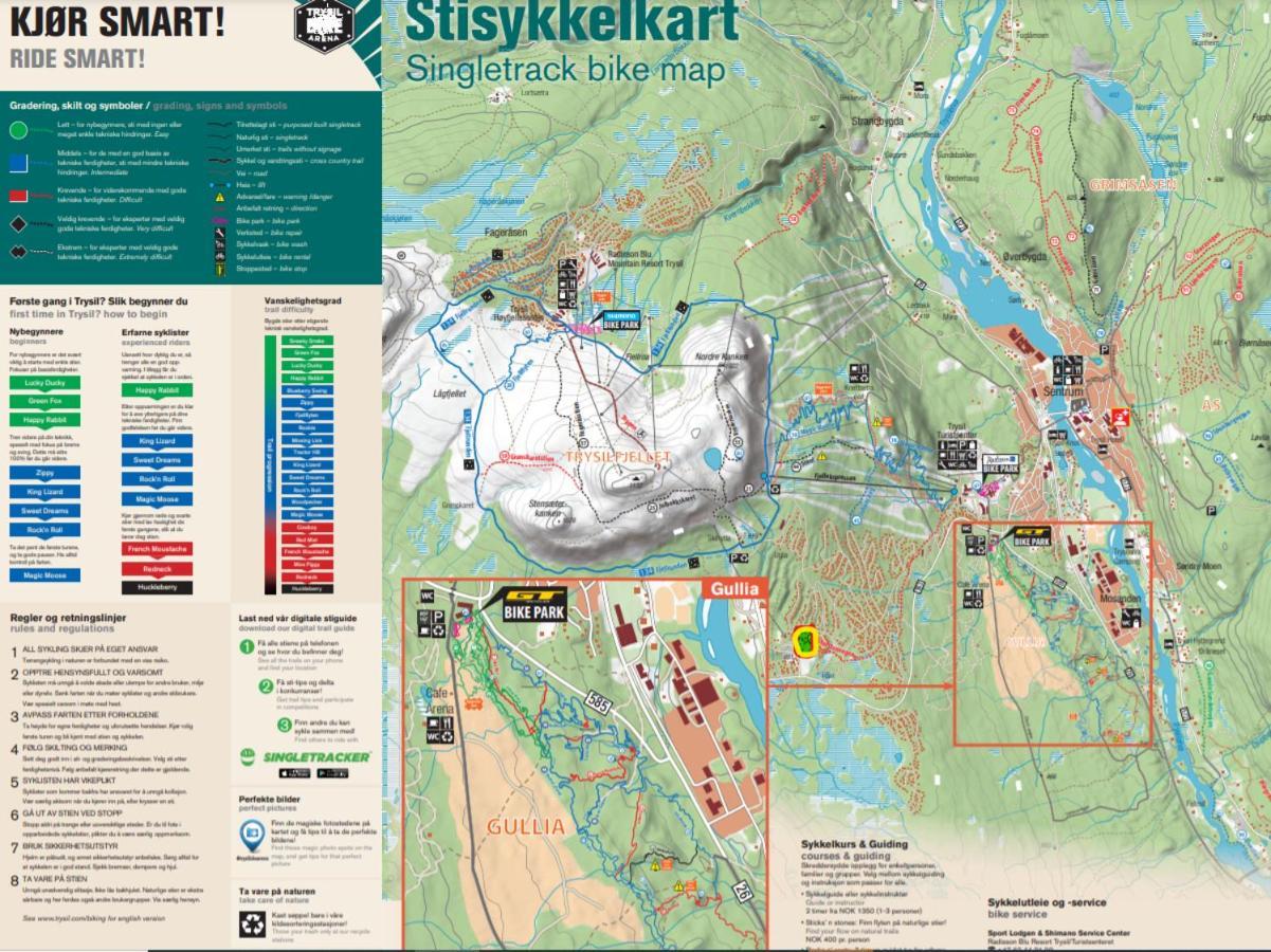 Koselig Hytte - Trysilfjellet Naert Til Sykkel- Og Turstier - 4 Soverom, 2 Bad, Badstue, Fiber Bredband Og Elbillader Exterior foto